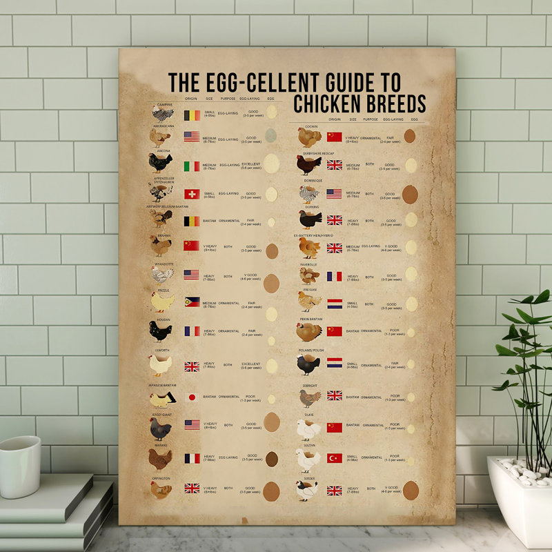 Toile tendue avec châssis The Egg-Cellent Guide To Chicken Breeds, H 14 po x l 11 po x P 2 po