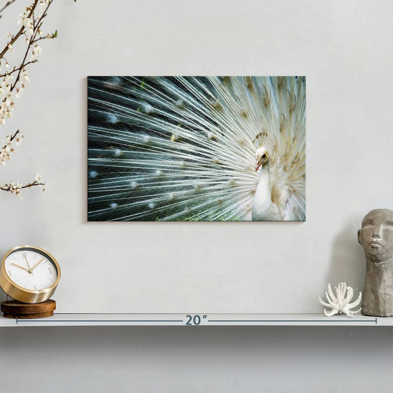 Icy White Peacock, 8" H x 12" W