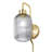 Gracieleigh Iron Plug-in Armed Sconce-313935244