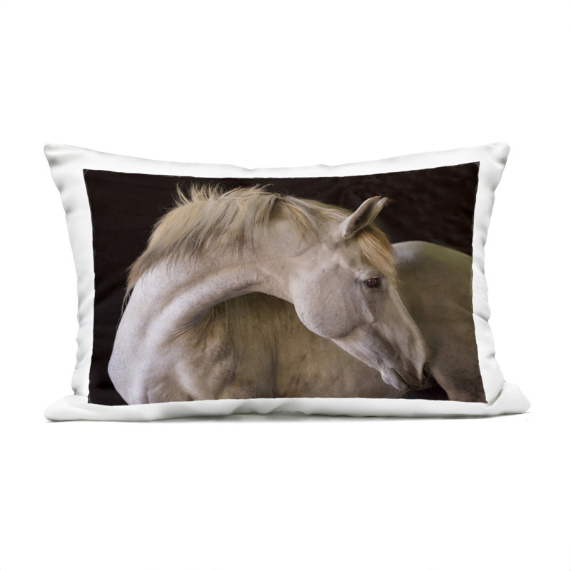 Coussin d'extérieur imprimé Highland Cow, Vibrant