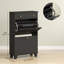 Entryway Cabinet with 2 Flip Drawers for 12 Pairs of Shoes-17878514