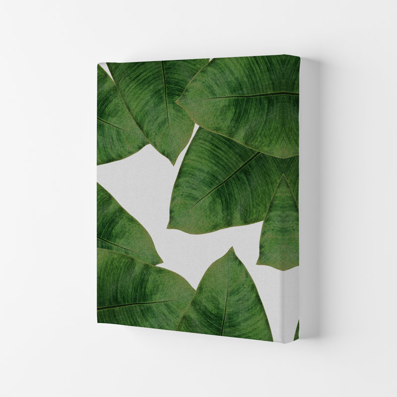 Banana Leaf II - Print, 59.4cm H x 42cm W x 4cm D, Wrapped Canvas