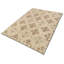 Samkara Wool Oriental Area Rug in Beige/Neutral-45411161