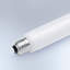 LED Outdoor Wall Light L 260 S Stainless Steel Opal Glass Wall Scone with Motion Sensor