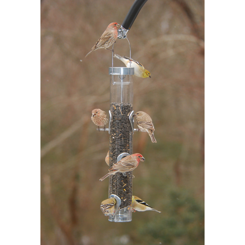 22-Inch Clear and Silver Squirrel Resistant Tube Bird Feeder