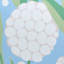 Rubus Wallpaper-822616020