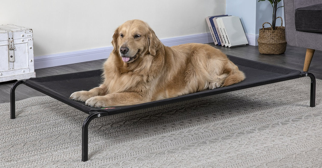 Pet Beds