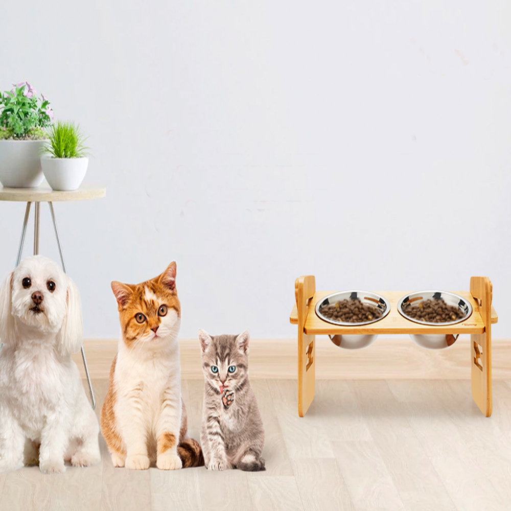 Elevated Small Dog Cat Bowls, Unique Bone Shape Bamboo Raised Dog Bowl  Stand wit