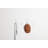 Clove Powder Coated Steel Wall Wall Hook-90927586