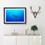 Swimming Turtle - Picture Frame Painting Print-55616787-55616789