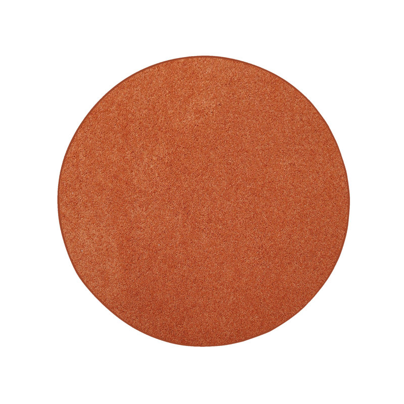 Modern Plush Pet and Kids Friendly Solid Color Orange Area Rugs, Stain & Fade Resistance, Perfect for Living Room, Dining Room, Bedroom, Playroom and Kidsroom, Event, Wedding, Amberlynn Rug