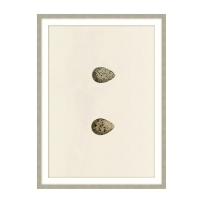 Unhatched 1 Illustration by Studio L57 Nouvelle