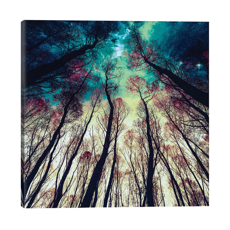 Riza Peker - Wrapped Canvas Print, 45.72 cm H x 45.72 cm W x 1.91 cm D