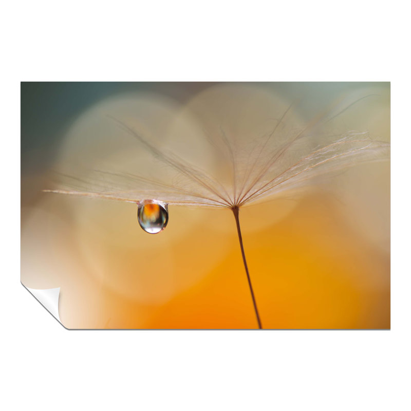 Orange Dandelion - No Frame Print on Glass, 91cm H x 61cm W, Paper