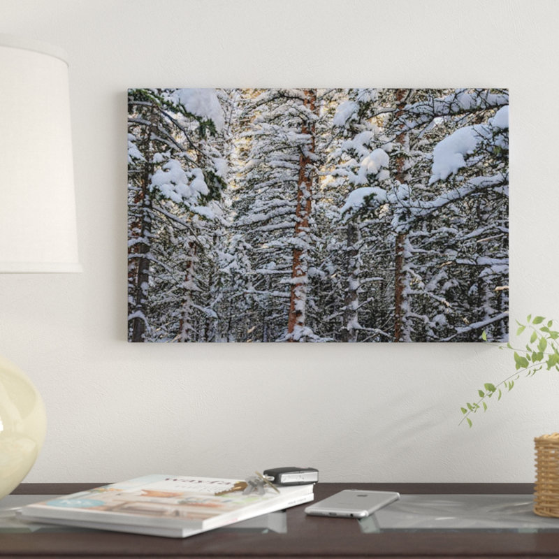 « snowbound » par bill sherrell, impression sur toile tendue, H 18 po x l 26 po x P 1,5 po, Toile avec cadre noir