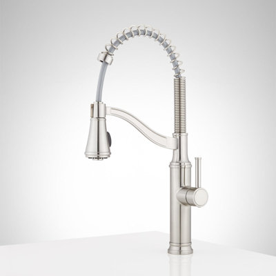 Signature Hardware Caribana Pull Down Single Handle Kitchen Faucet with Accessories