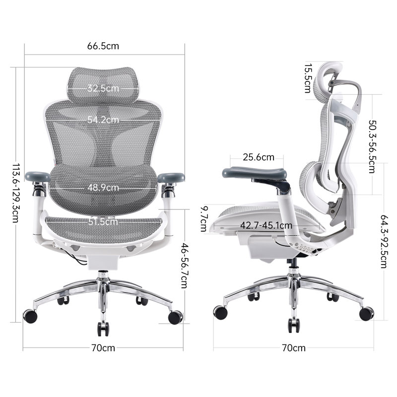 Ergonomic Office Chair with 6D Armrests, Dynamic Lumbar Support, Adjustable Backrest, White/Sliver, Grey
