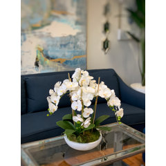 Luxury Real Touch White Medium Size Phalaenopsis Orchid Pot, Butterfly  Orchid Pot With Artificial Ferns in a Gold Metal Vase 