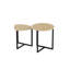 2pcs Metal Frame Nesting Tables Coffee Tables