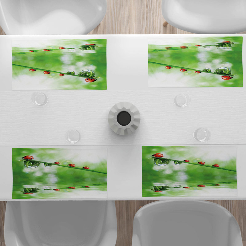 Récapitulatif 18,5" coccinelles