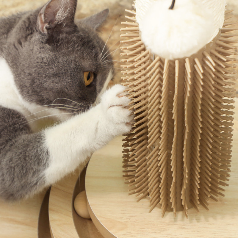 49 cm H Cat Scratchers