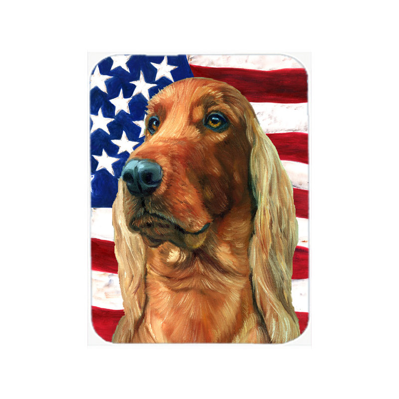 Planche à découper en verre American Flag