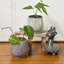 Jardinière en céramique 4,5 po, pot de fleurs en céramique, plante décorative, lavande-93564556