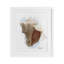 Reproduction sous verre Honeybloom Coastal Conch, conception par Matthew Piotrowicz-449737655-449737654