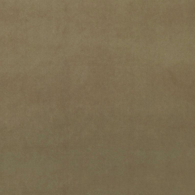 Tissu velours encyclopédique II, Bois flotté