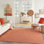 Solid Colour Indoor / Outdoor Area Rug-1680261776