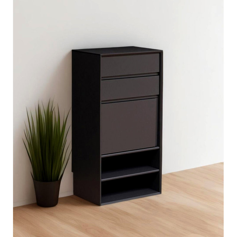 Narrow Shoe Cabinet with 2 Drawers 1 Door and 2 Open Shelves