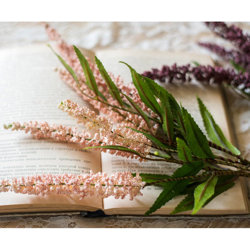 Plante buddleja papillon, Rose clair