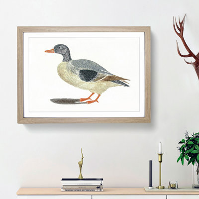 Duck by Johan Teyler - Framed Print