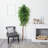 Waller 84'' Faux Ficus Tree