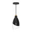 Luminaire suspendu simple à 1 lumière Tabitha-1591829267