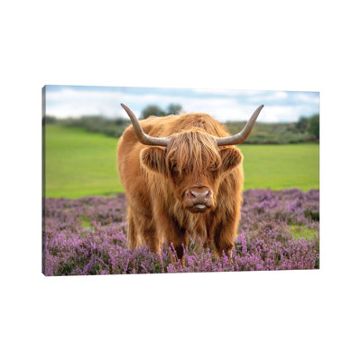 Highland 1 Piece Wrapped Canvas Wall Art