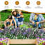Outdoor Raised Garden Bed