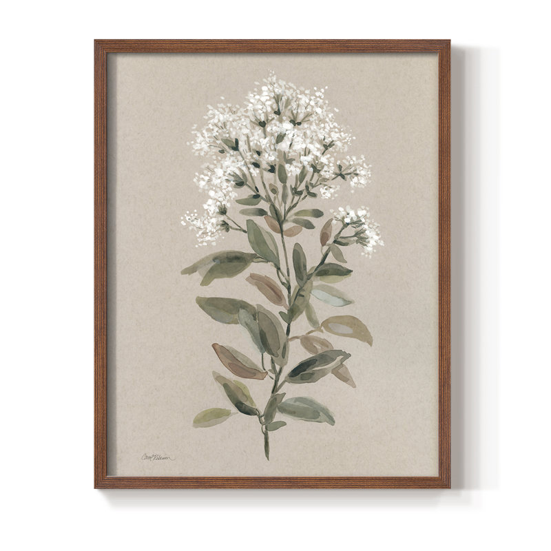 Reproduction encadrée de tiges florales blanches II - bois massif, H 11 po x l 9 po, Noyer