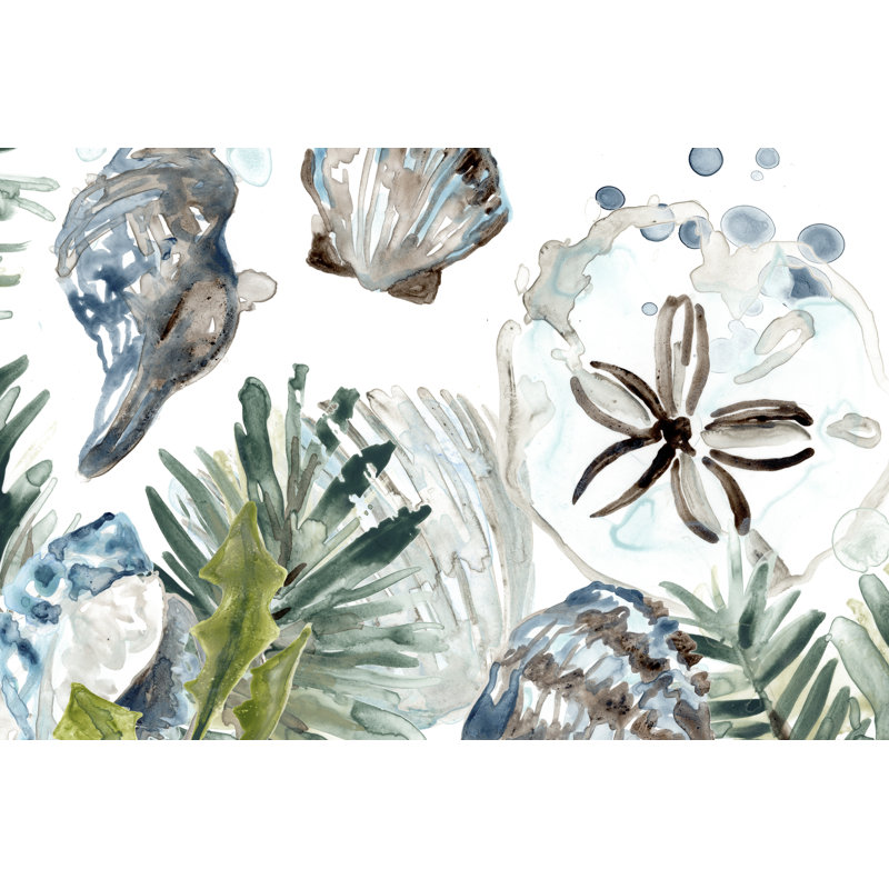 Coastal Christmas Shell Collection D by June Erica Vess - Painting Print, Wrapped Canvas, 20cm H x 30cm W