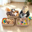 Rebrilliant Decorative Basket