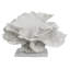 Maris Coral Sculpture