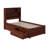 Bouldin Solid Wood Platform Bed with Bookcase & Storage Drawer-226570212-157041073