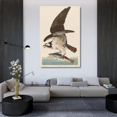 Loon Peak® Audubon, John James Gallery Wrapped Canvas Art Titled: Fish Hawk, or Osprey