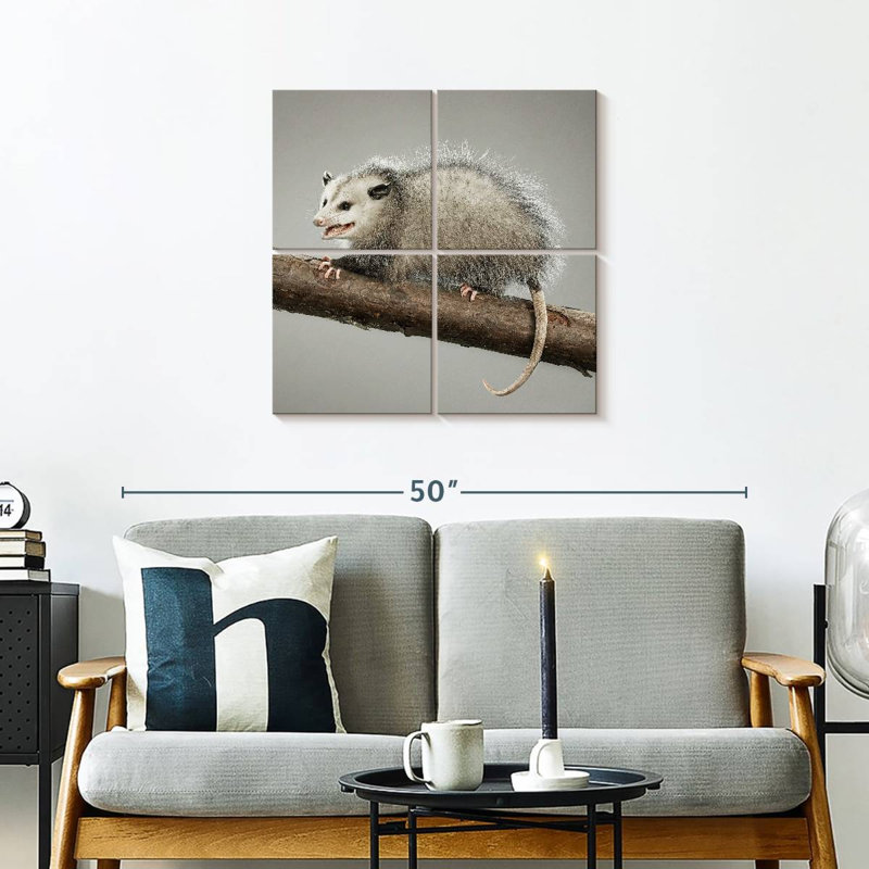 Bramoss Snarky Opossum, H 26 po x l 26 po