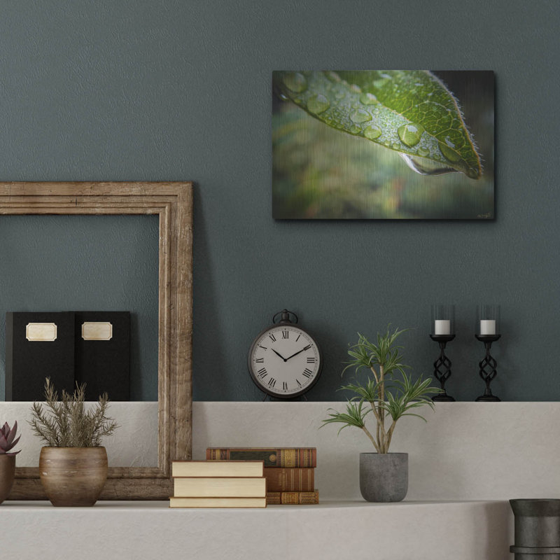  «Droplet Of The Leaf 1» par Life BeautifuLEE, art mural en métal, 16 po x 12 po, H 12 po x l 16 po
