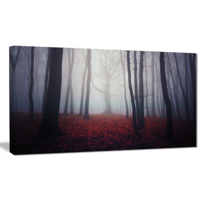 " Dark Spooky Misty Forest "