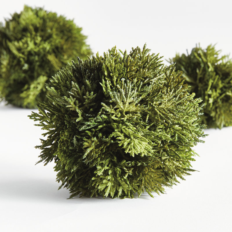 Deanne Faux Cypress Plant, 5.5" H x 5.5" W x 5.5" D