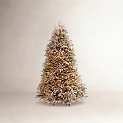 Dunhill Fir Tree with Clear Lights
