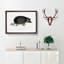 Collared Hedgehog by John Edward Gray - Picture Frame Painting Print on MDF-55621167-55621168