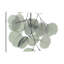 « descending eucalyptus 5 », reproduction d’impression sur toile tendue-23604577